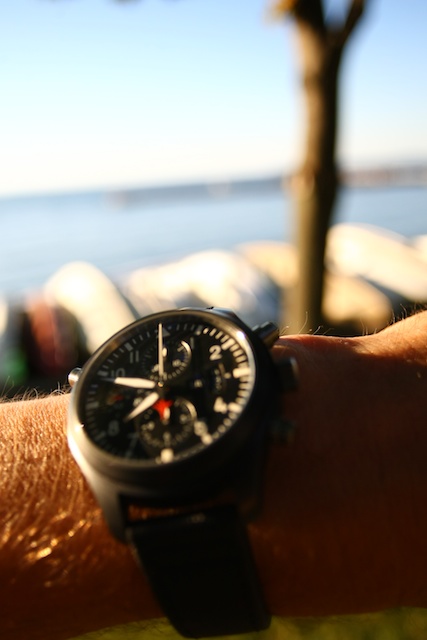 pages.sssnet.com/jwp/topgunwrist.jpg